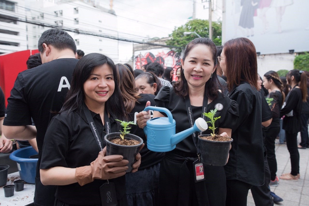 AIATH_ปลูกดอกดาวเรือง (10)