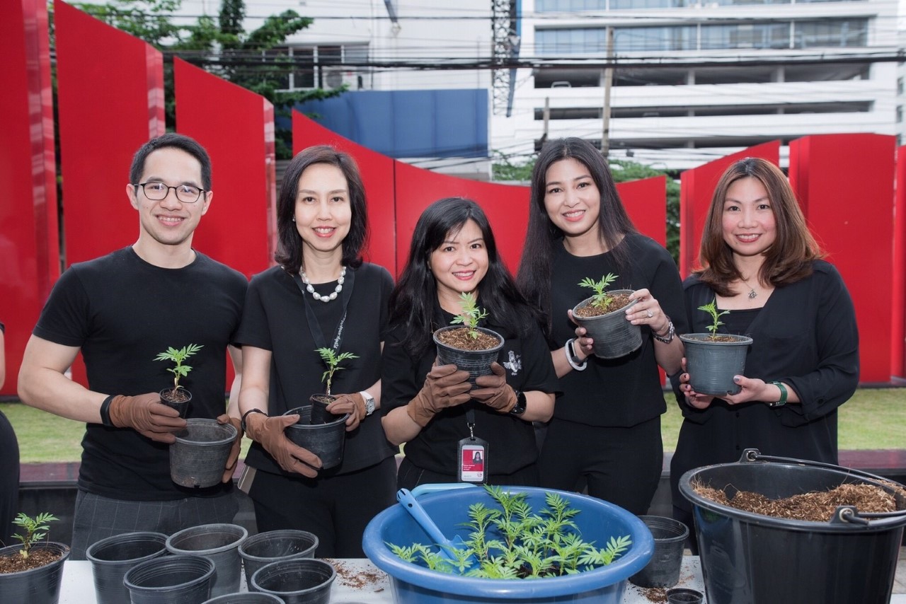 AIATH_ปลูกดอกดาวเรือง (5)