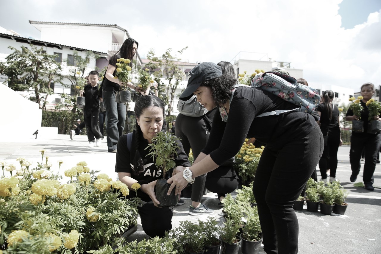 Pic พนักงานอุ่นใจอาสา ร่วมทำกิจกรรมเพื่อพ่อ ประดับต้นไม้ และดอกไม้ ที่พระเมรุมาศจำลอง_3